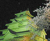 鶴ヶ城と夜桜