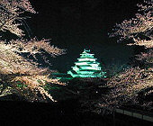鶴ヶ城と夜桜